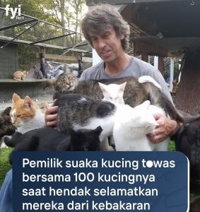 tewas bersama kucingnya